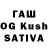 Галлюциногенные грибы Psilocybine cubensis STR G