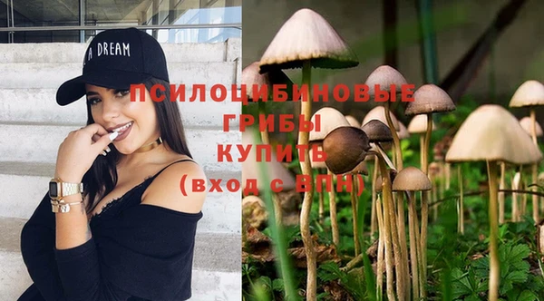 дмт Алексеевка