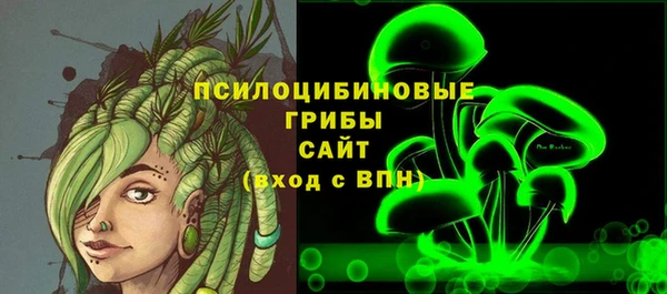 прущий лед Алзамай