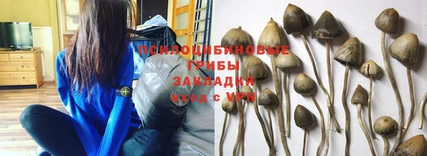 прущий лед Алзамай